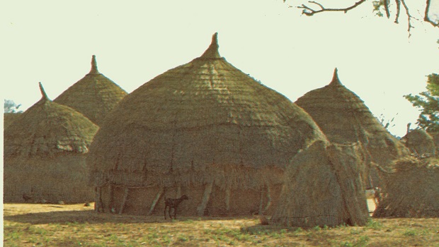 Le Grenier Volant de Mali Bero – Une Réinterprétation Moderne des Mythes Africains